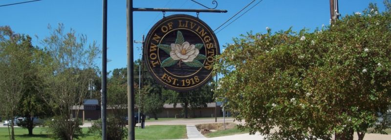 Best Tub To Shower Conversion pros in Magnolia, TX