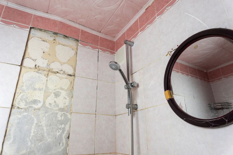 Top Shower Remodeling Companies in Tomball, TX